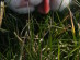 View full size picture