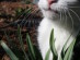 View full size picture