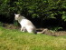 View full size picture