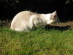 View full size picture