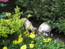 View full size picture