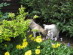 View full size picture