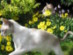 View full size picture