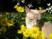 View full size picture