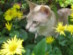 View full size picture