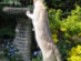 View full size picture