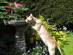 View full size picture