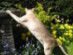 View full size picture
