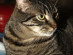 View full size picture