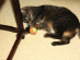 View full size picture