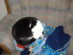 View full size picture
