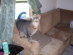 View full size picture