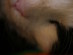 View full size picture