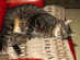 View full size picture