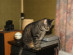 View full size picture