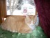 View full size picture
