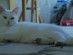 View full size picture