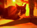 View full size picture