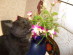 View full size picture