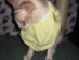 View full size picture