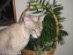 View full size picture