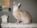 View full size picture