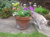 View full size picture