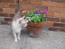 View full size picture