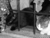 View full size picture
