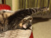 View full size picture