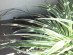 View full size picture