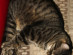 View full size picture