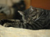 View full size picture