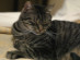 View full size picture