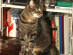 View full size picture