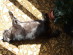 View full size picture