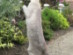 View full size picture