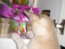 View full size picture