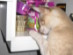 View full size picture