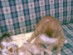 View full size picture