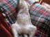 View full size picture