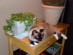 View full size picture