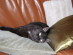 View full size picture