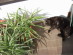 View full size picture