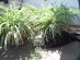 View full size picture