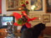 View full size picture