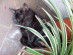 View full size picture