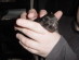 View full size picture