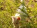 View full size picture