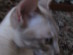 View full size picture